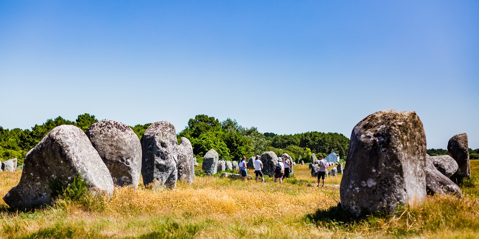 Visite guidée dans les alignements de Carnac