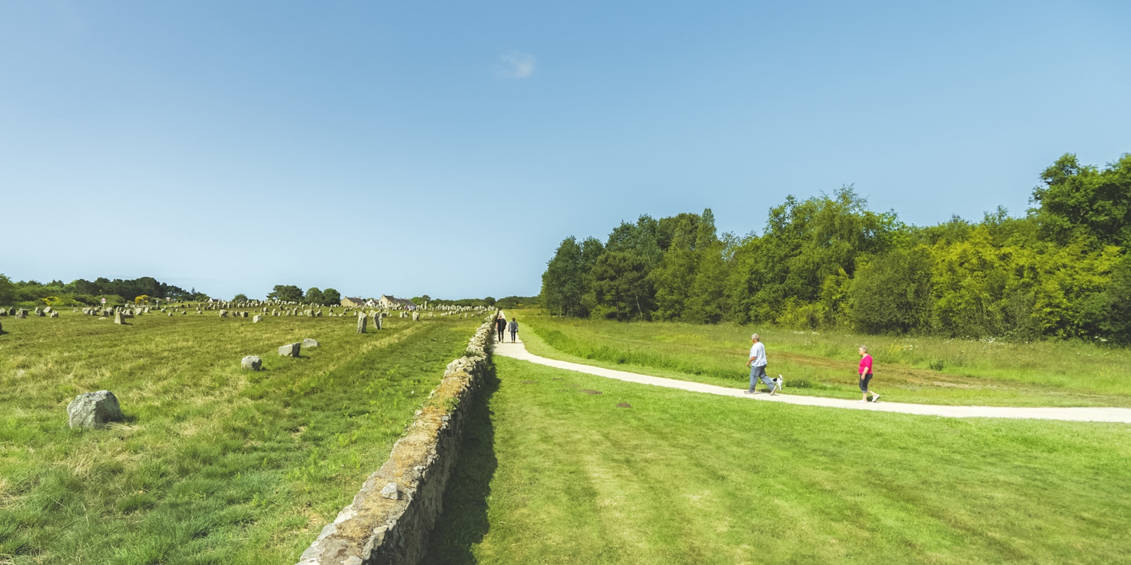 Circuit des alignements à Carnac